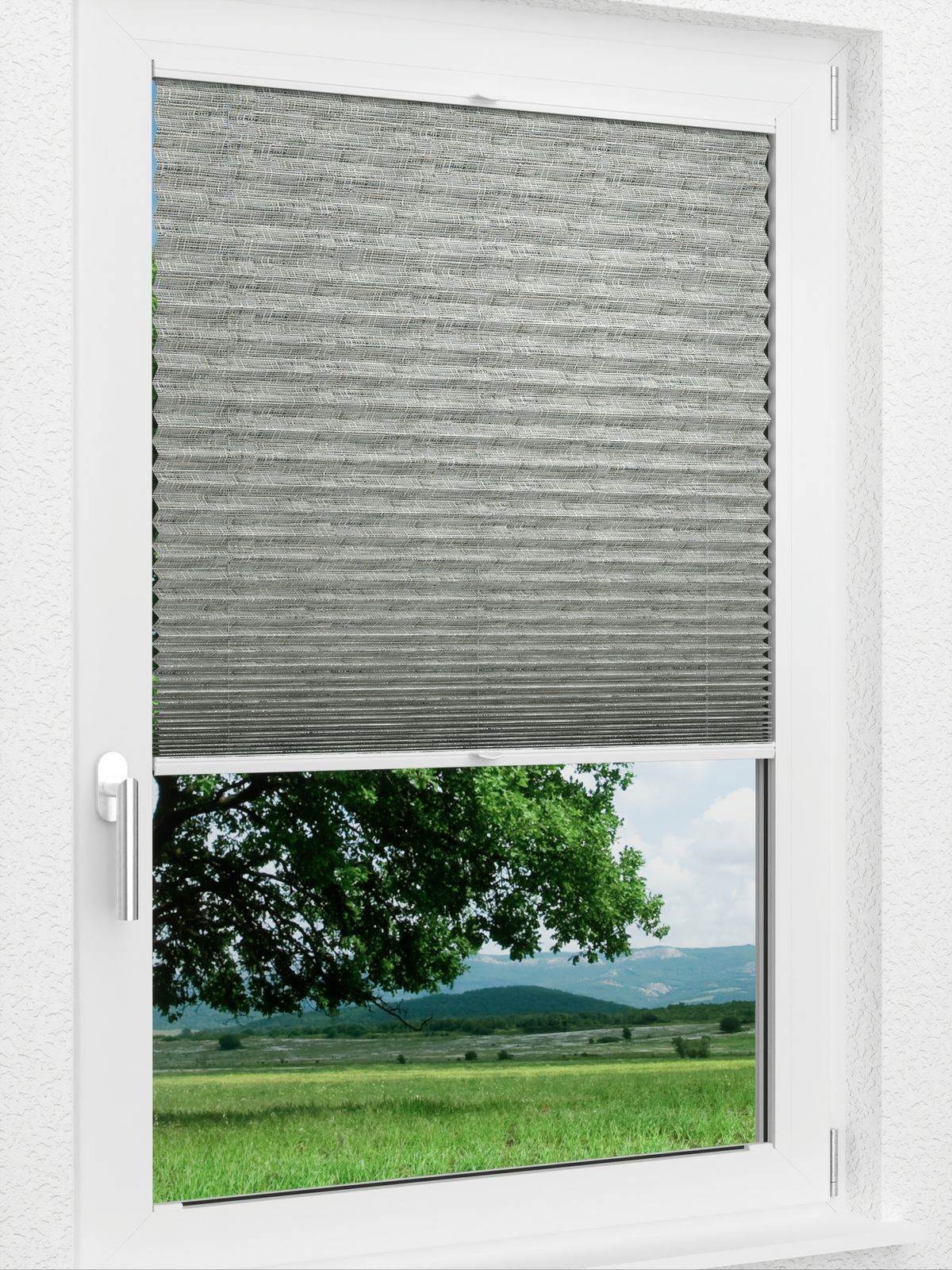 Detailansicht LYSEL HOME 323A Raw