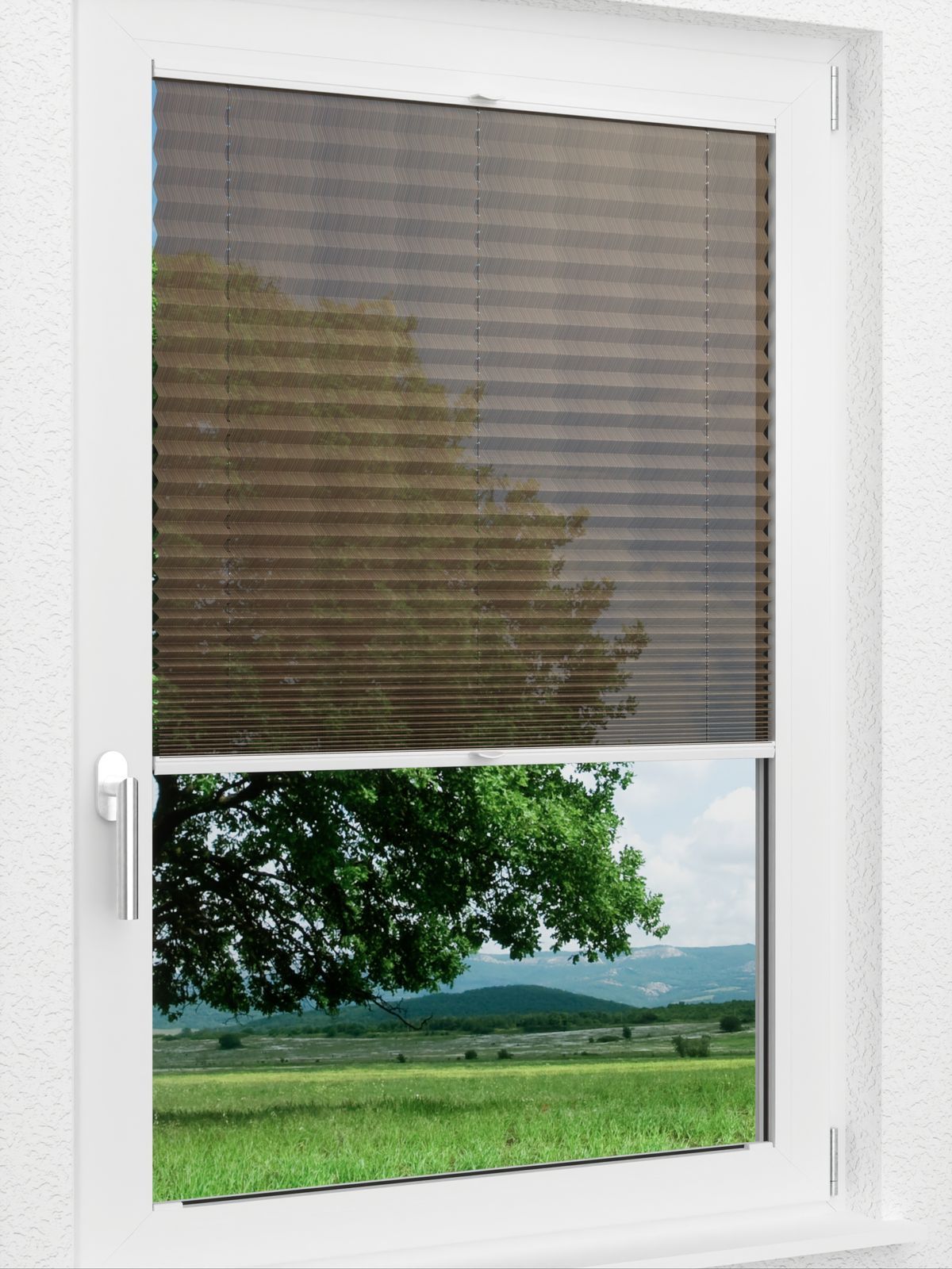 Detailansicht LYSEL HOME 433A Salix