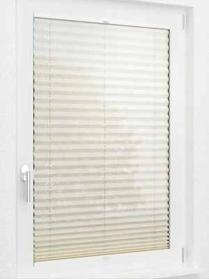 Preview LYSEL HOME Plissee 226A Nohr 2