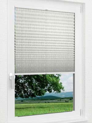 Preview LYSEL HOME Plissee 341A Casandro 1