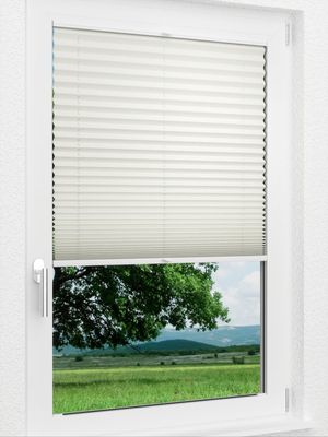 Preview LYSEL HOME Plissee 219B Elva Krepp BO 1