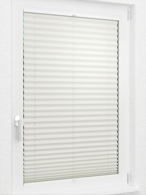 Preview LYSEL HOME Plissee 219B Elva Krepp BO 2