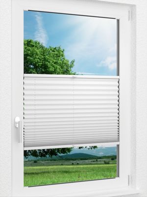 Preview LYSEL HOME Plissee 209B Elva Krepp Pearl 0