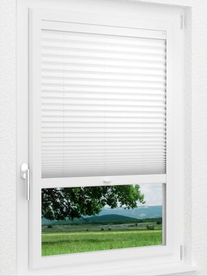 Preview LYSEL HOME Plissee 205B Elva Krepp 1