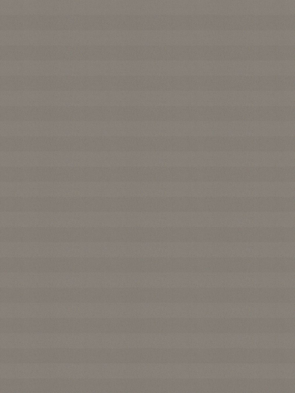 Detailansicht LYSEL HOME Plissee 221A Nilla BO