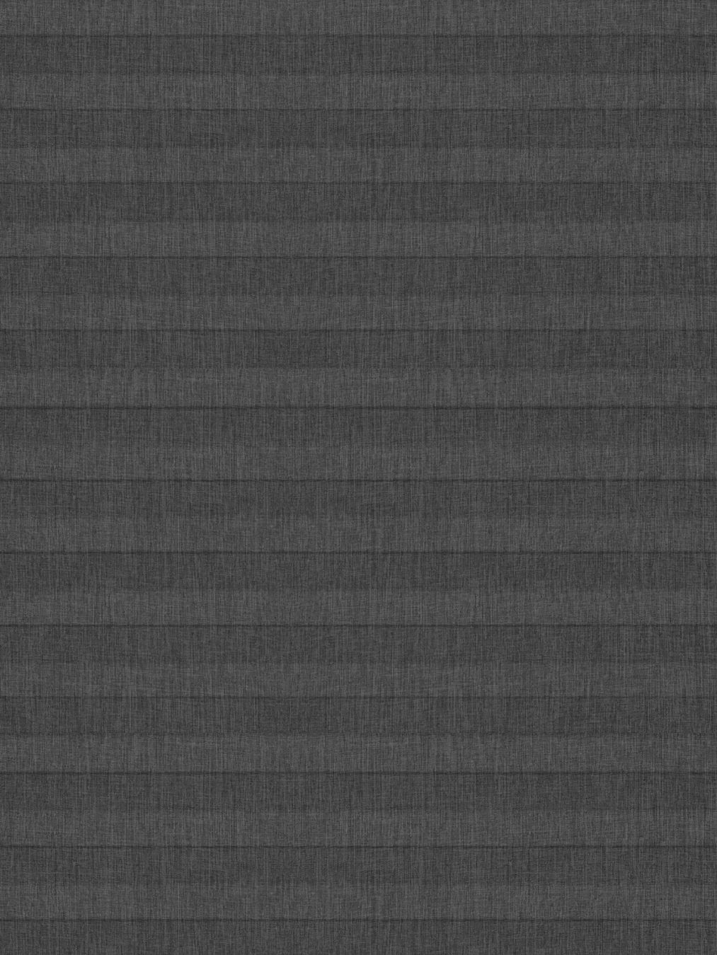 Detailansicht LYSEL HOME Plissee 117A Leja BO