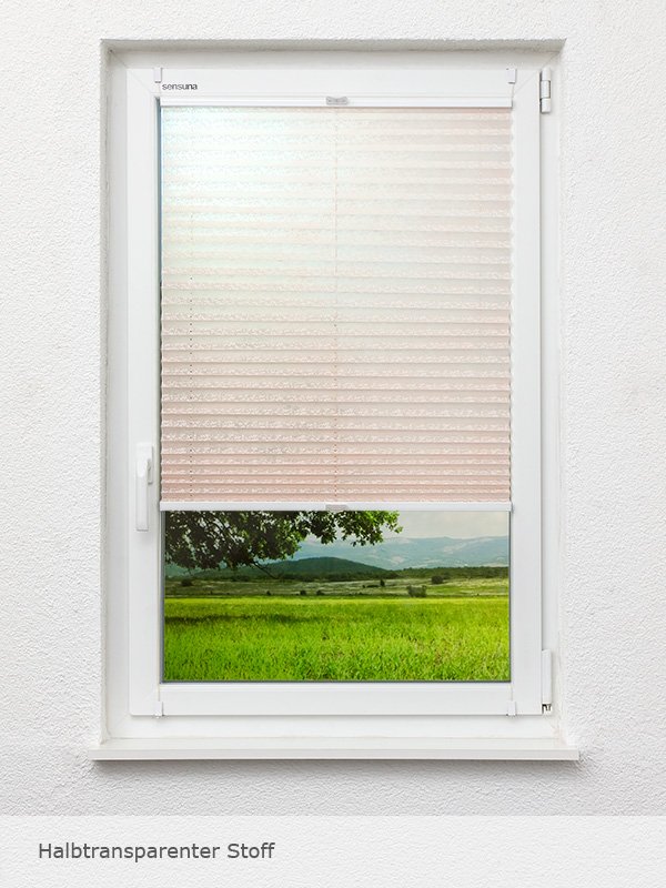 Detailansicht Backyard 182vs