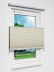 Daisy Dark 1621vs Fensteransicht