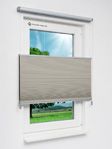Daisy Dark 1622vs Fensteransicht