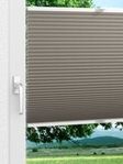 Daisy Dark 1623vs Fensteransicht
