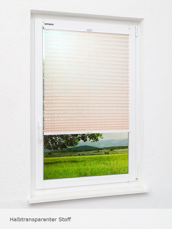 Detailansicht Backyard 182vs