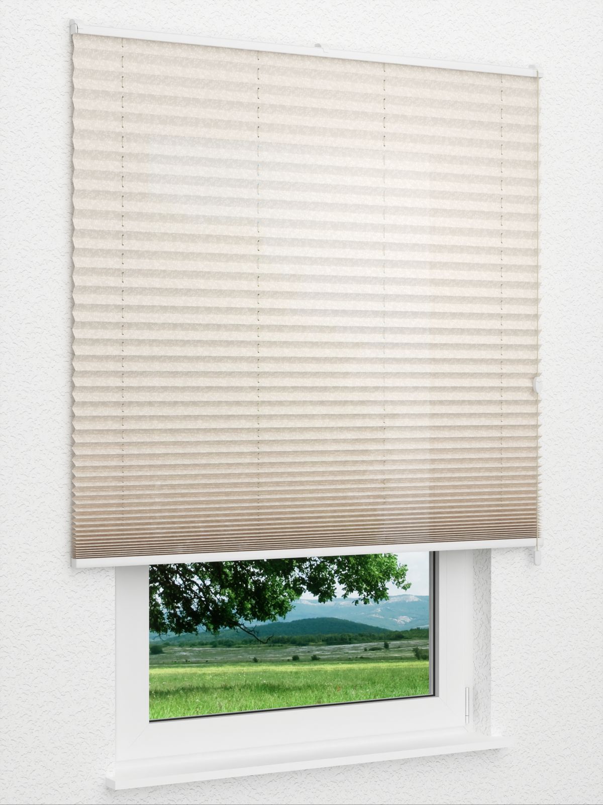 Detailansicht Backyard 182vs