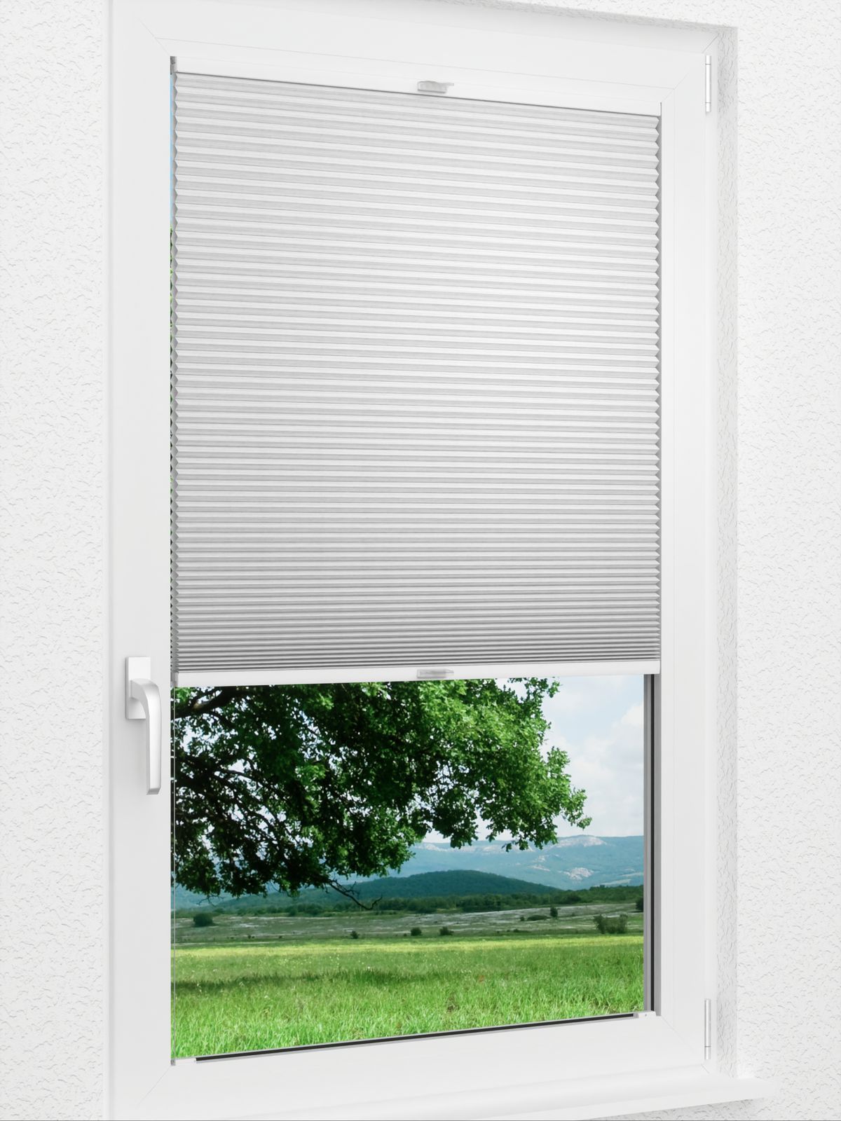 Detailansicht Olms 1270vs