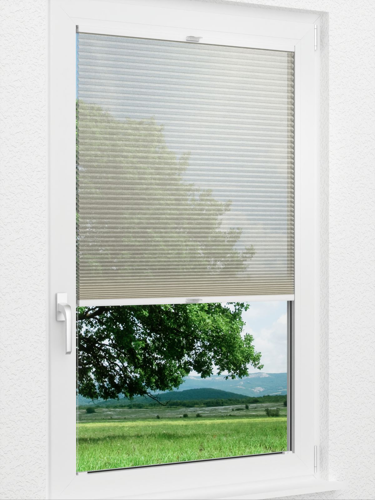 Detailansicht Archie 1601vs