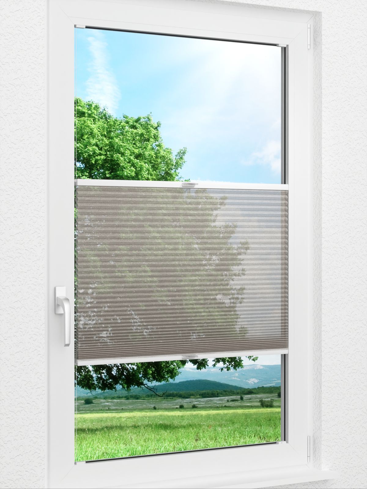 Detailansicht Archie 1602vs