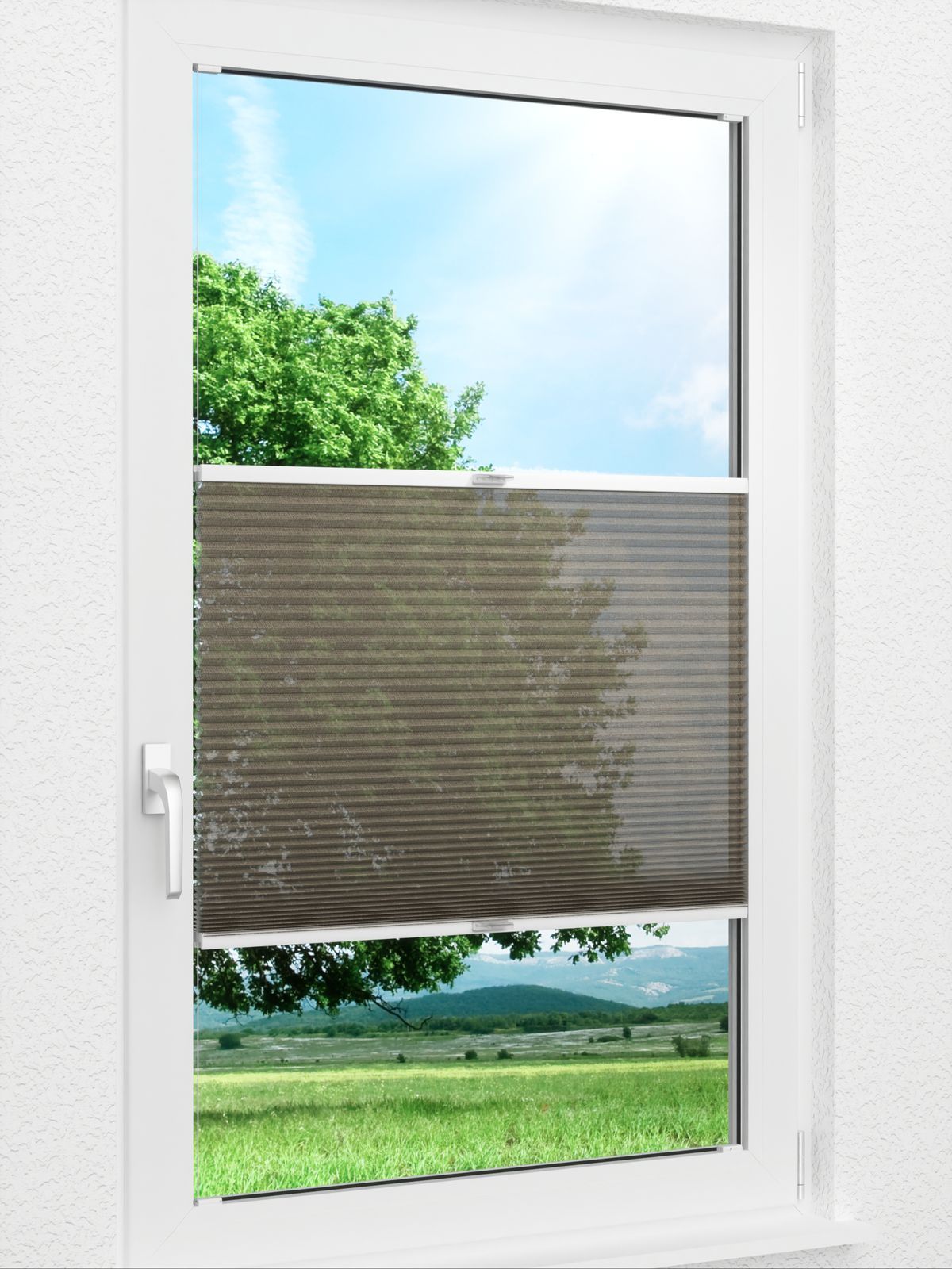 Detailansicht Archie 1604vs