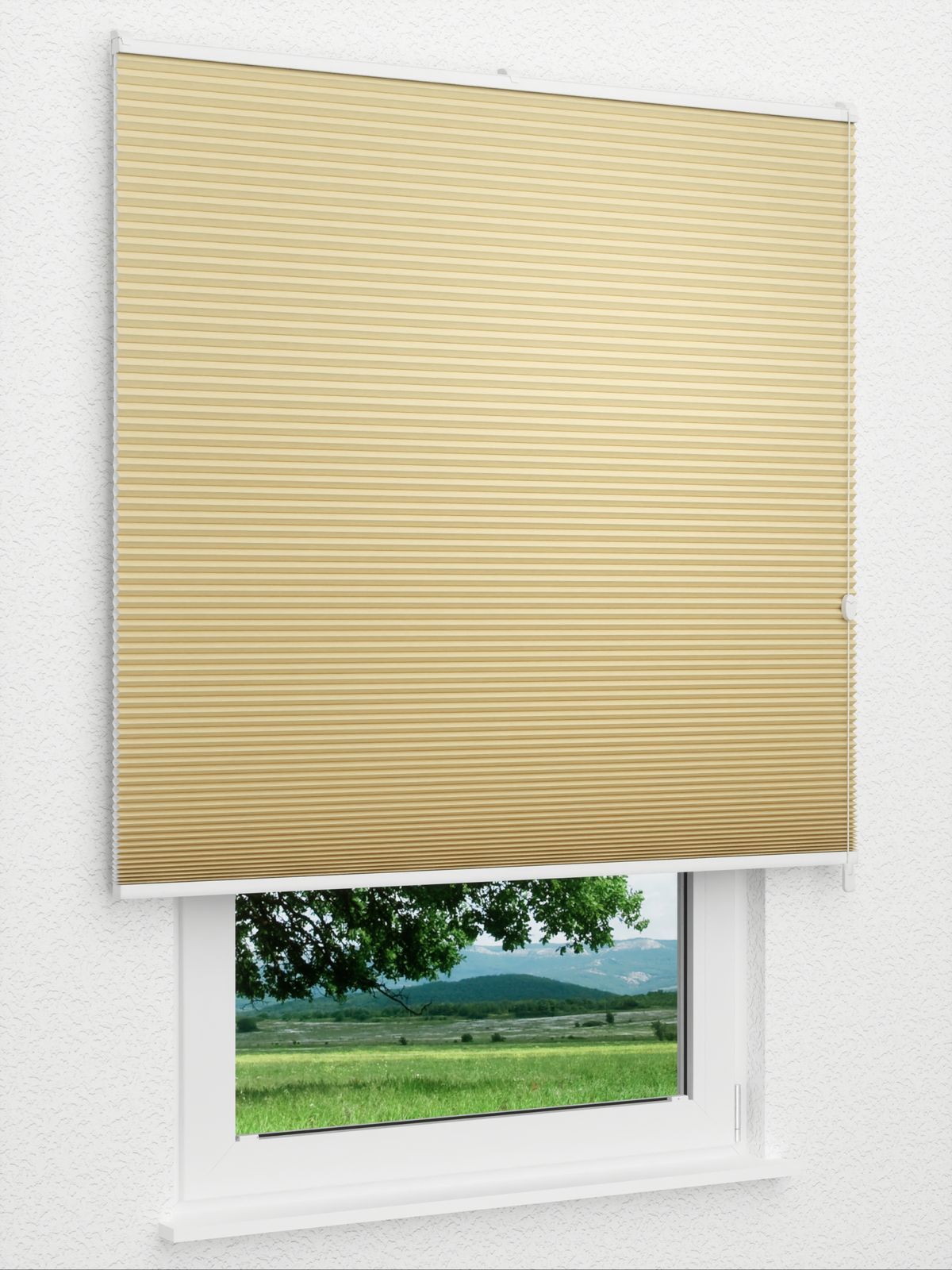 Detailansicht Gaddo 1491vs