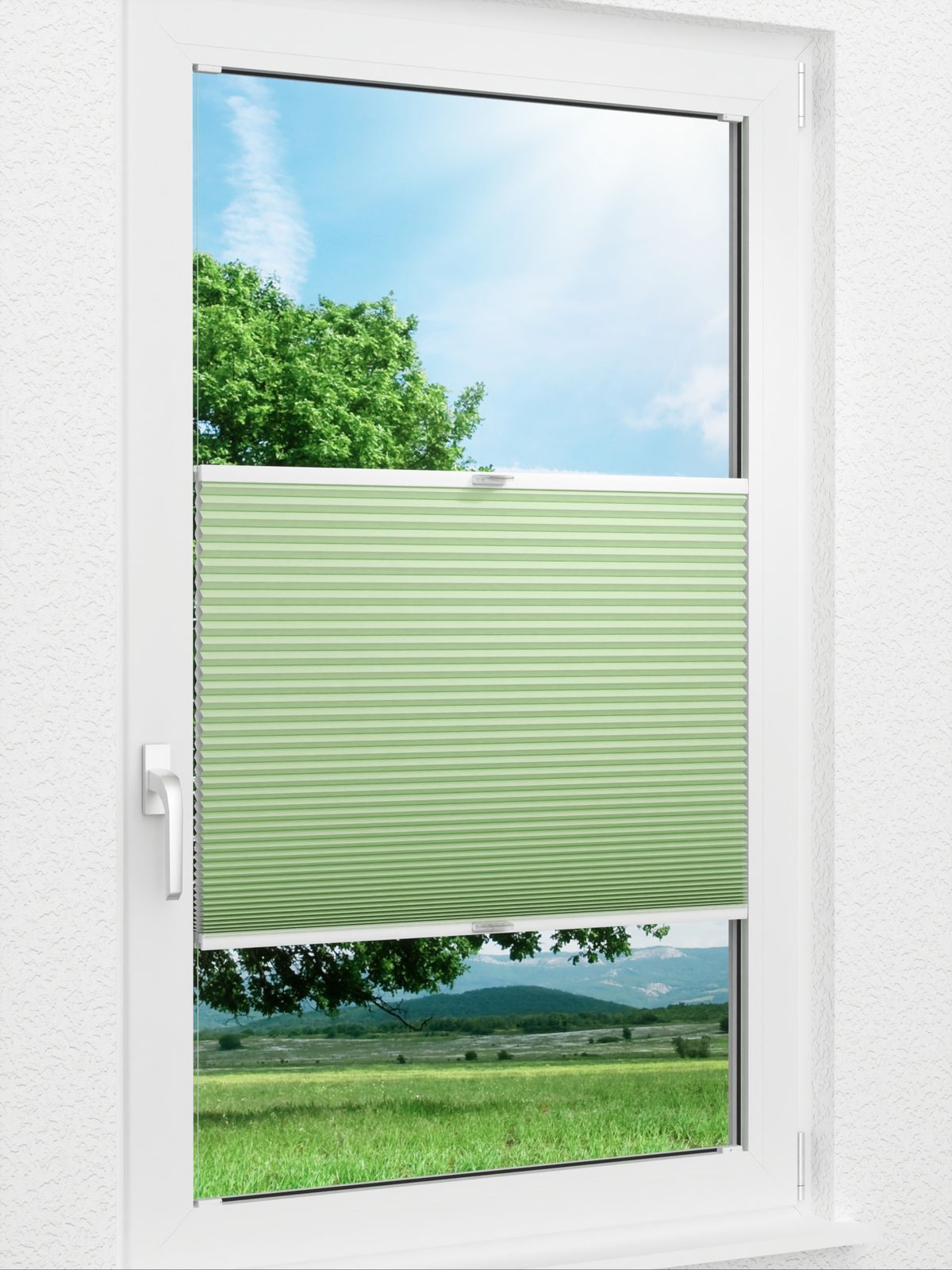 Detailansicht Gaddo 1492vs