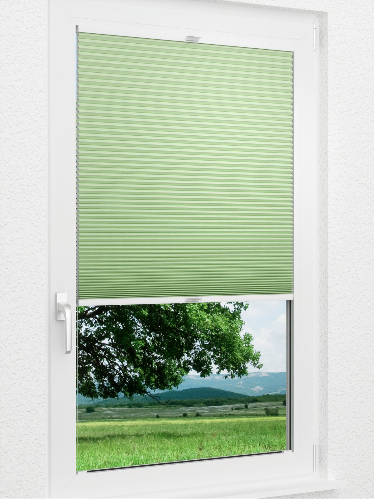 Detailansicht Gaddo 1492vs