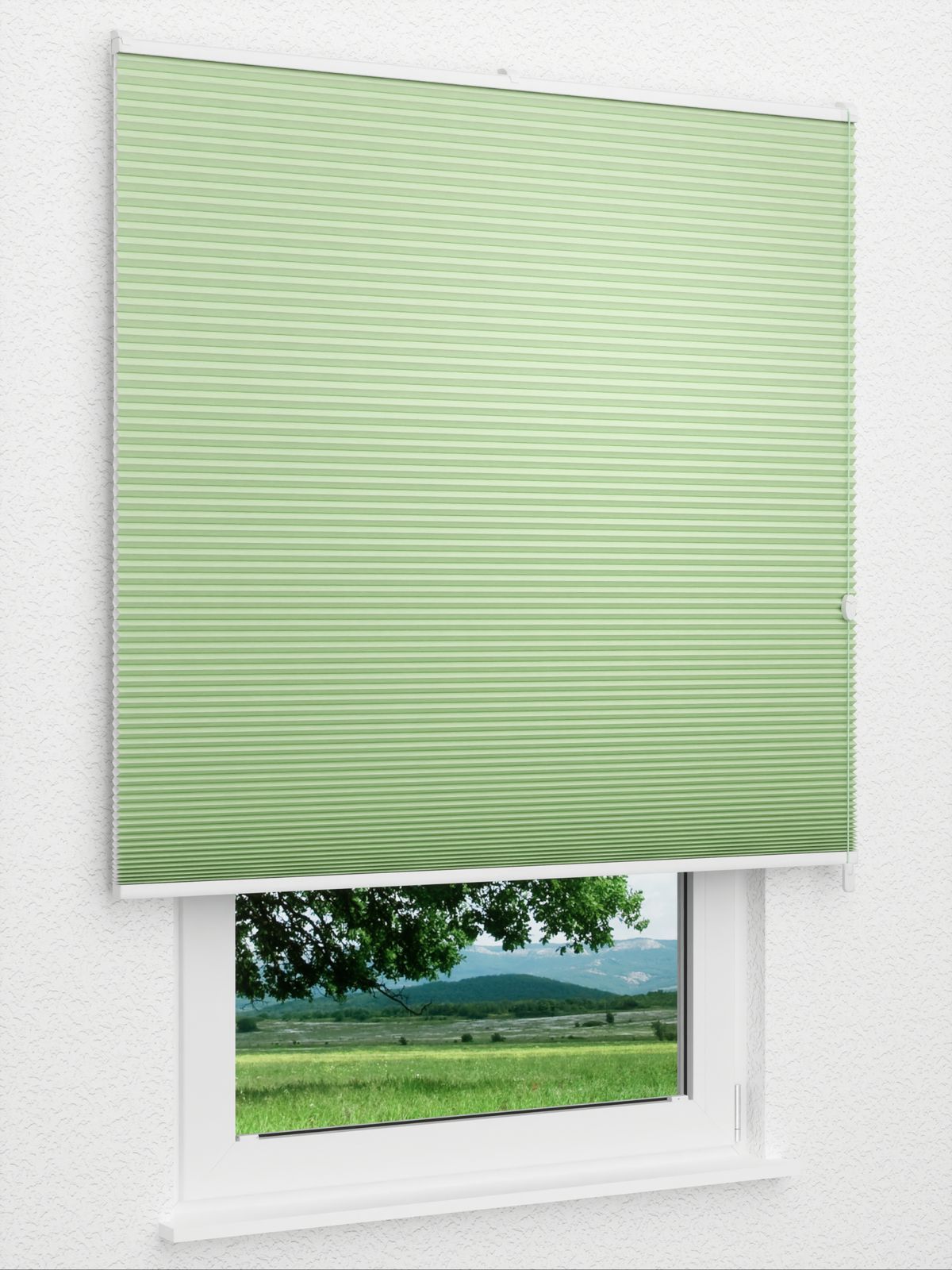 Detailansicht Gaddo 1492vs