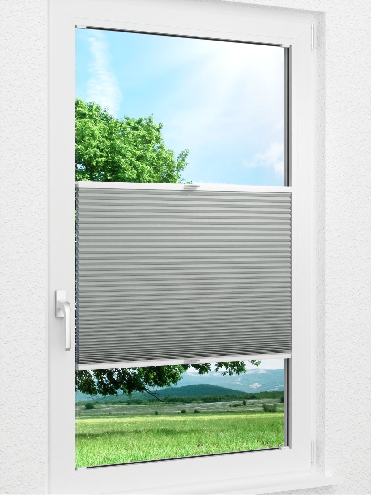 Detailansicht Willow Dark 1651vs