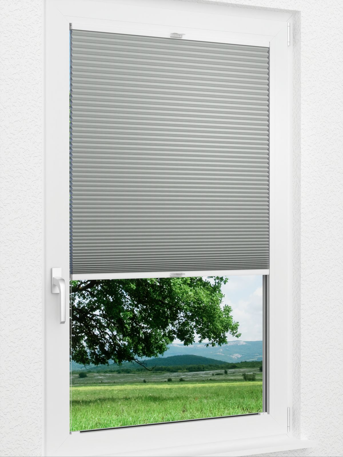 Detailansicht Willow Dark 1651vs