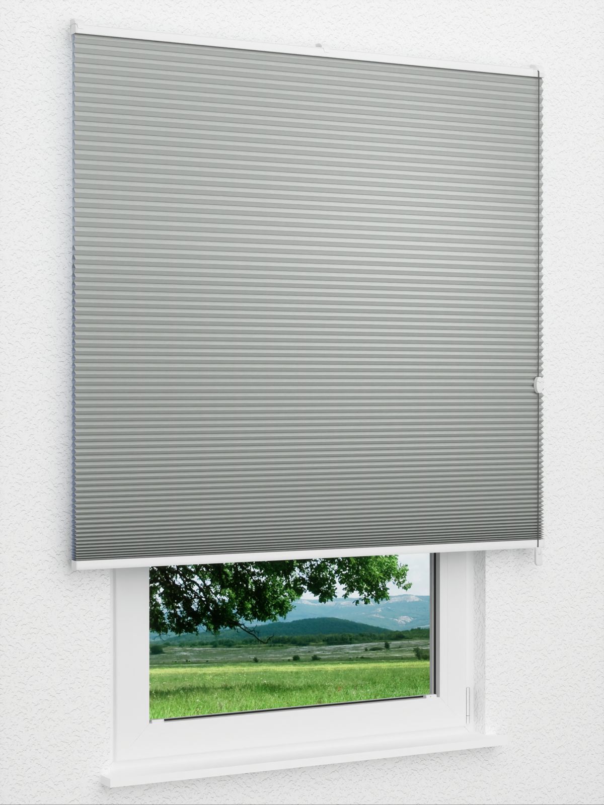 Detailansicht Willow Dark 1651vs