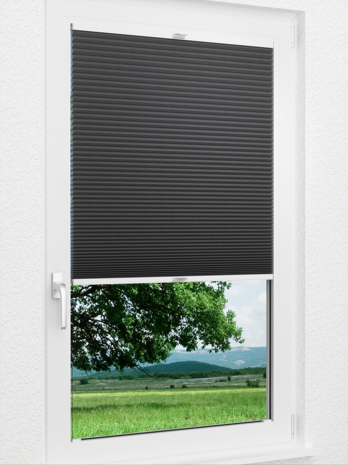Detailansicht Willow Dark 1653vs