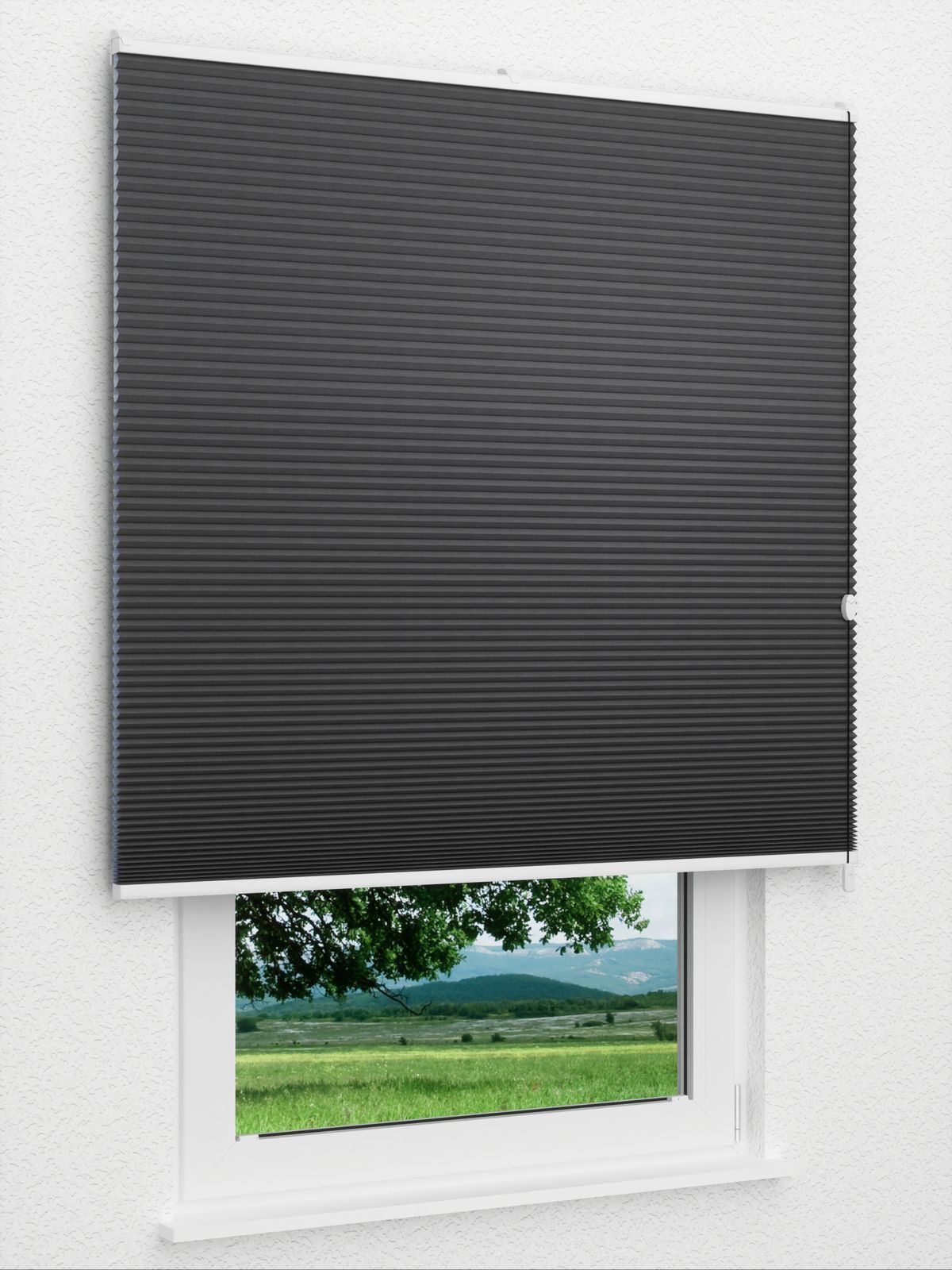 Detailansicht Willow Dark 1653vs