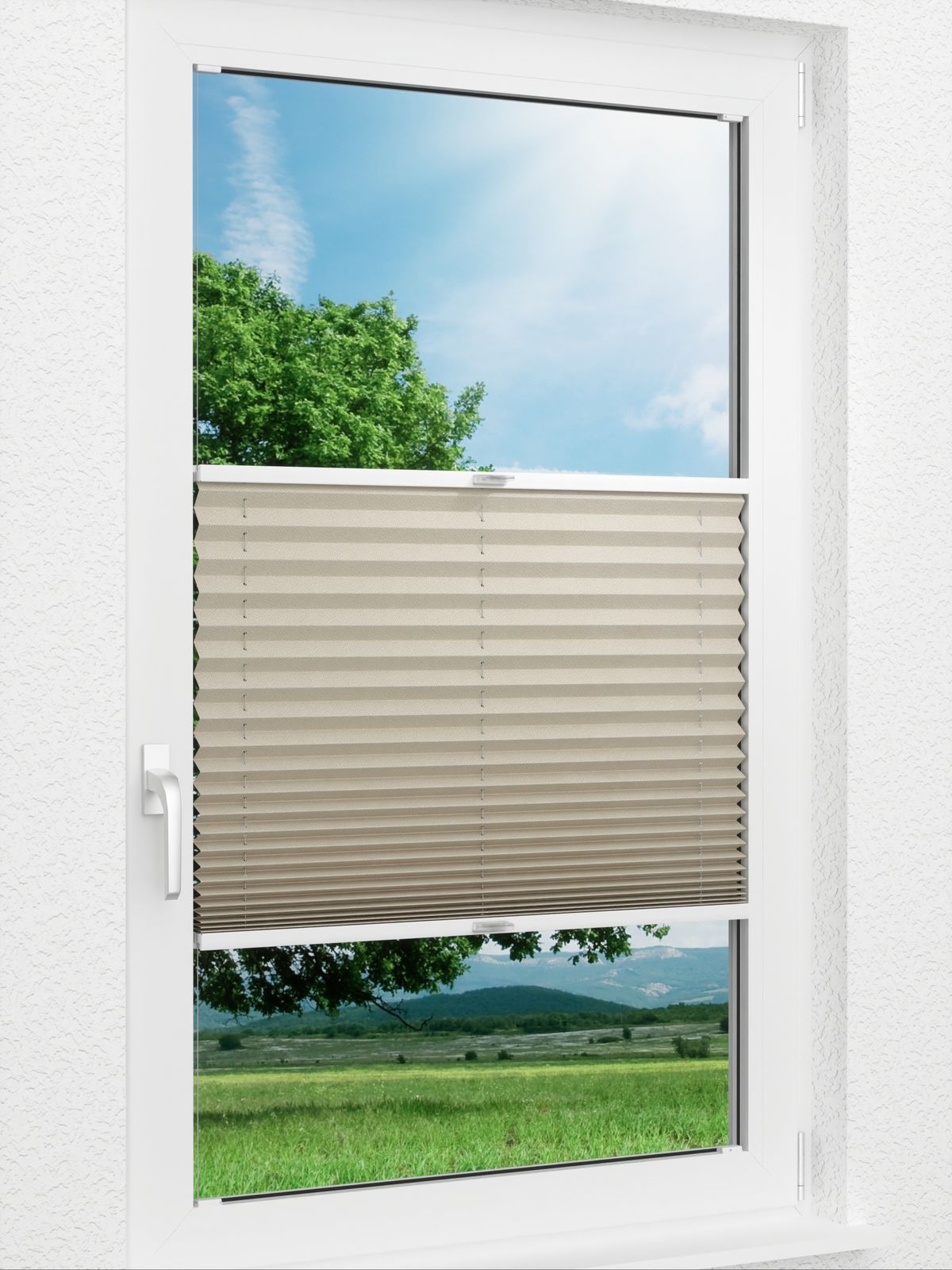 Detailansicht Plissee Color Krepp 1323vs