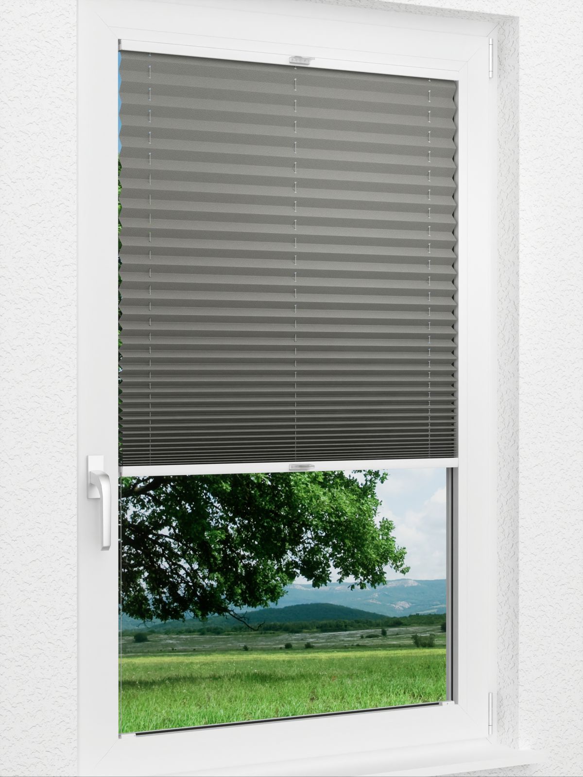 Detailansicht Plissee Color Krepp 1325vs