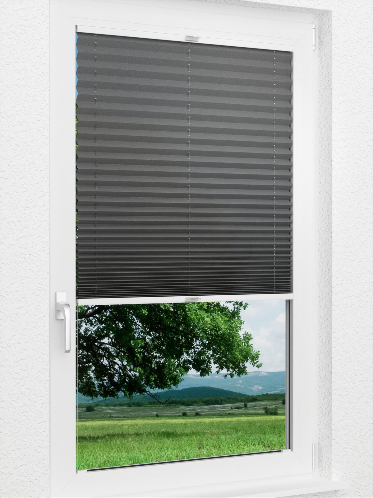 Detailansicht Plissee Color Krepp 1326vs