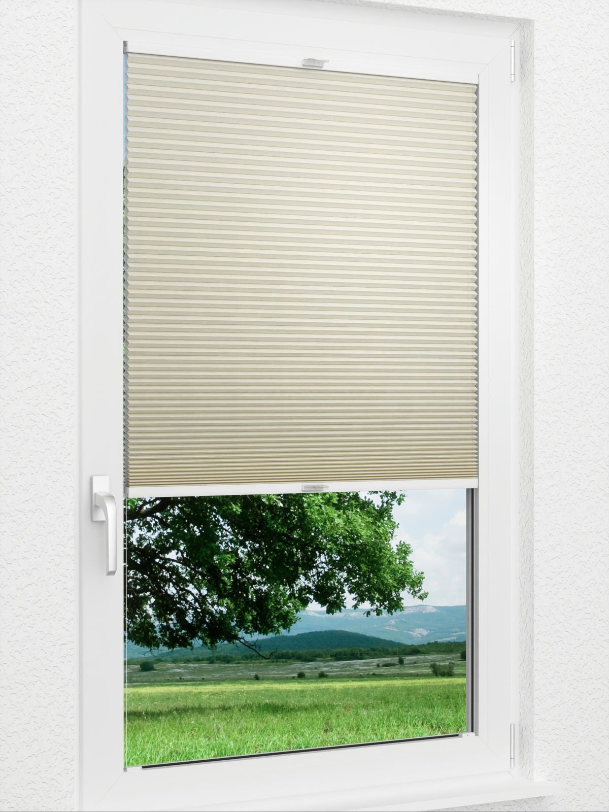 Detailansicht Daisy 1611vs
