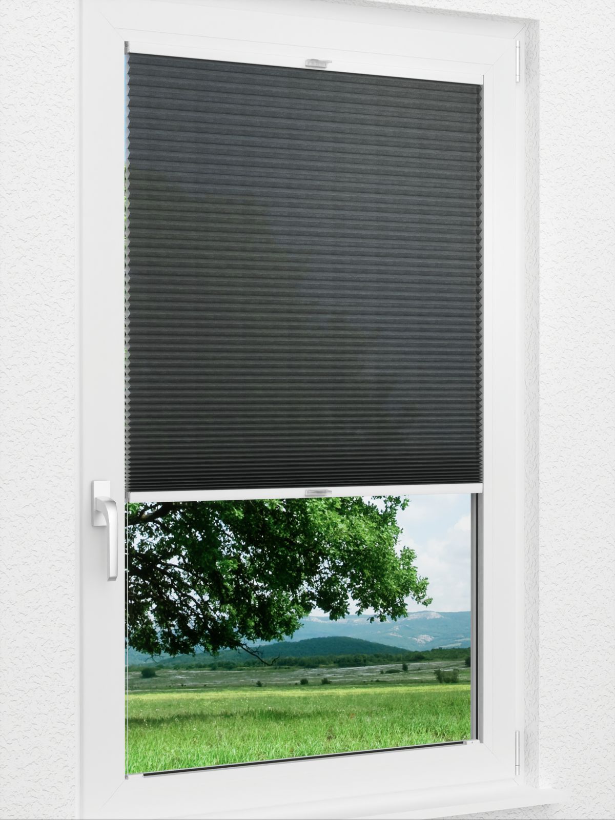 Detailansicht Daisy 1614vs