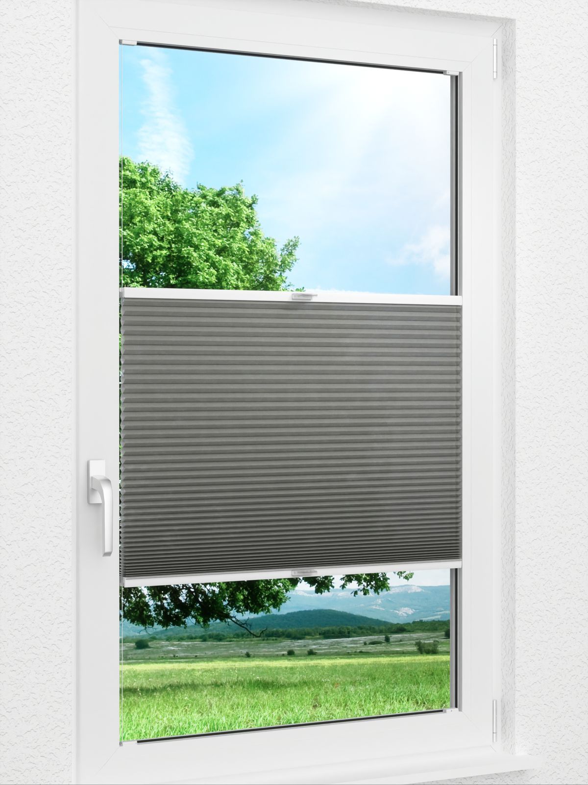 Detailansicht Daisy 1615vs