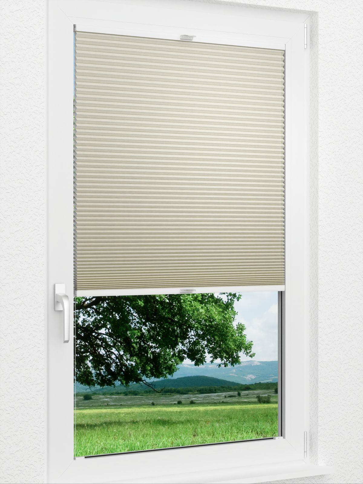 Detailansicht Daisy Dark 1621vs