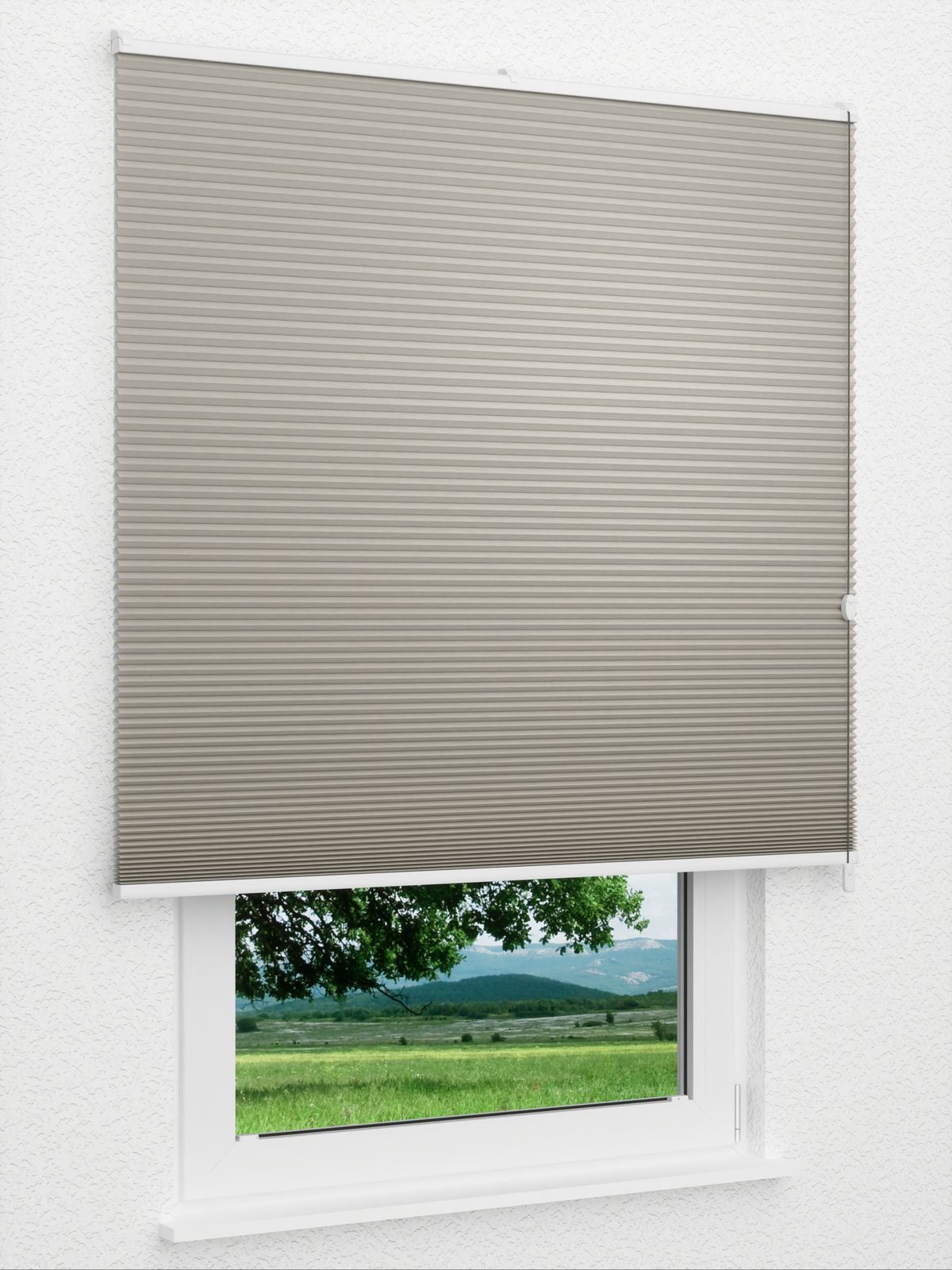Detailansicht Daisy Dark 1622vs