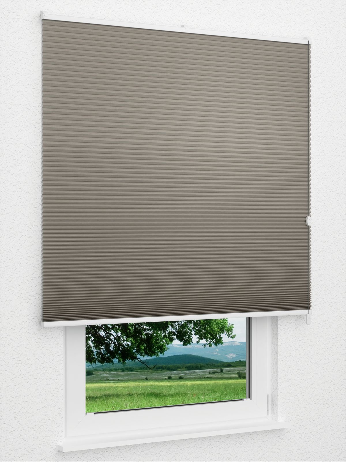 Detailansicht Daisy Dark 1623vs