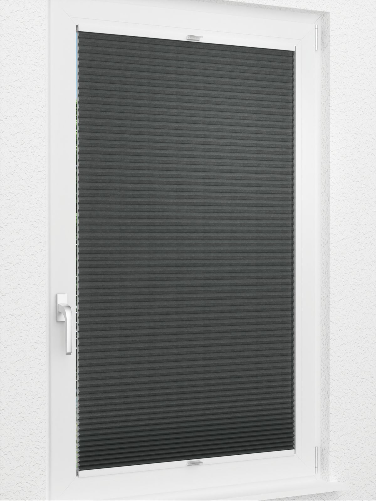 Detailansicht Daisy Dark 1624vs