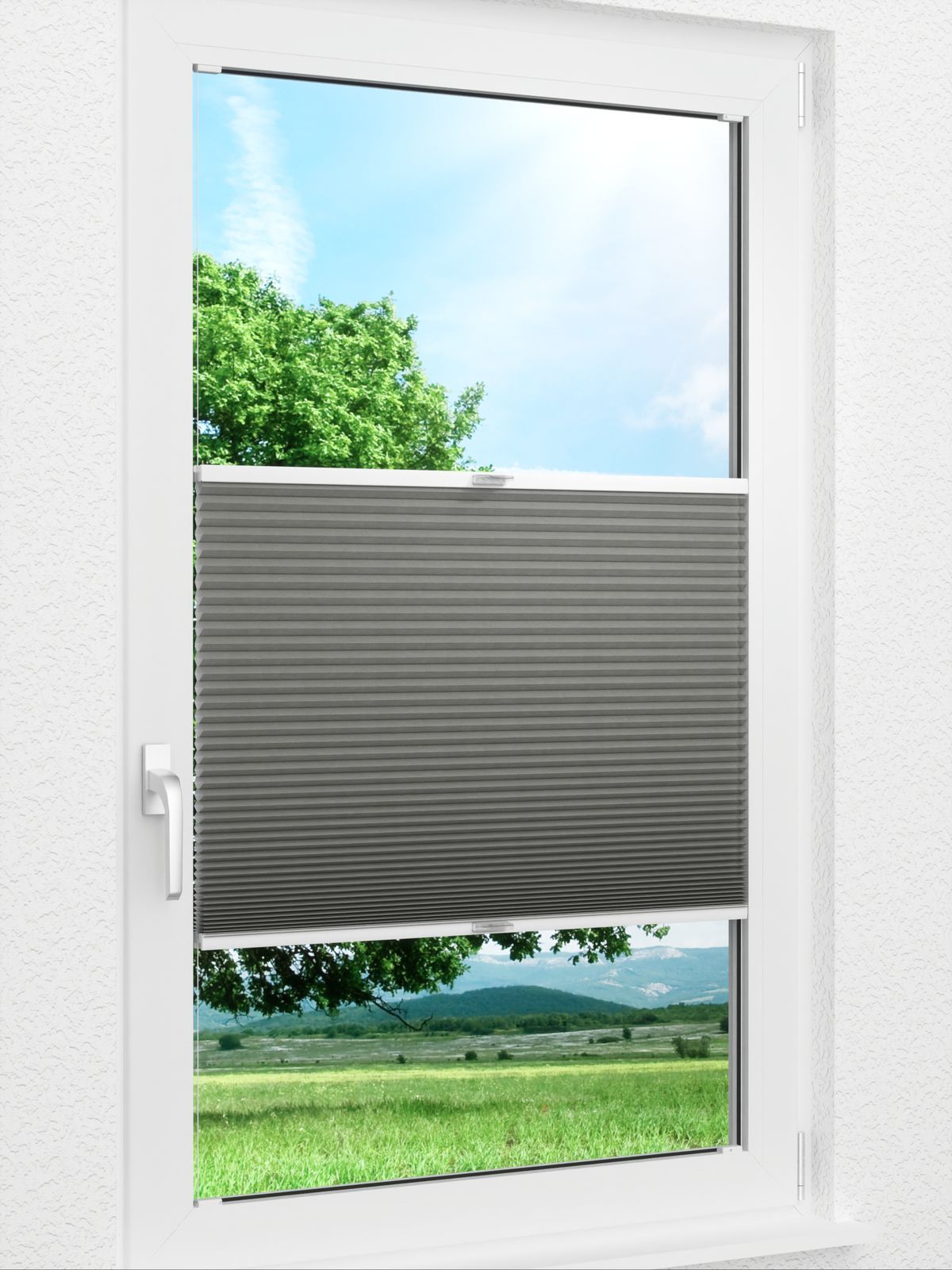 Detailansicht Daisy Dark 1625vs