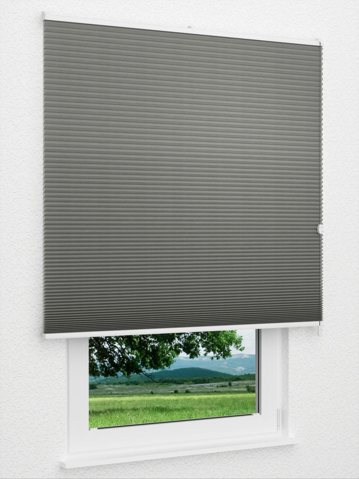Detailansicht Daisy Dark 1625vs