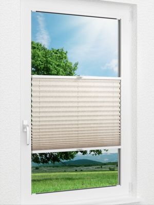 Preview Backyard 182vs 0