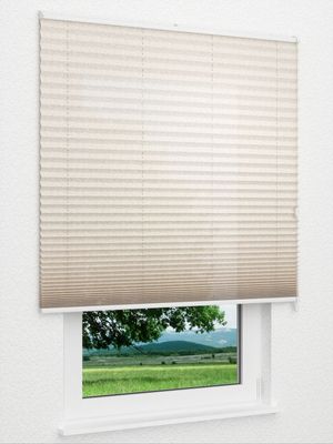 Preview Backyard 182vs 4