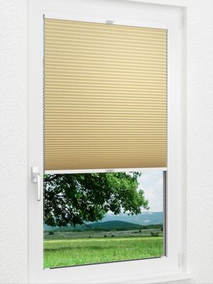 Preview Gaddo 1491vs 1