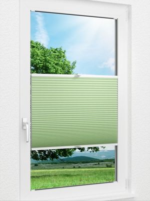 Preview Gaddo 1492vs 0