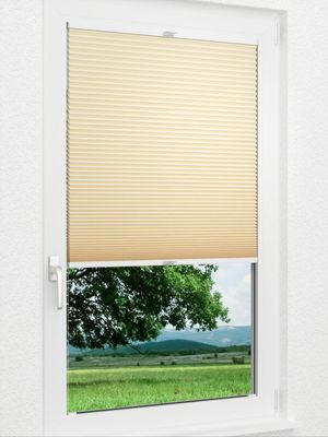 Preview Willow 1641vs 1