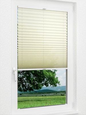 Preview Day Life 782vs 1