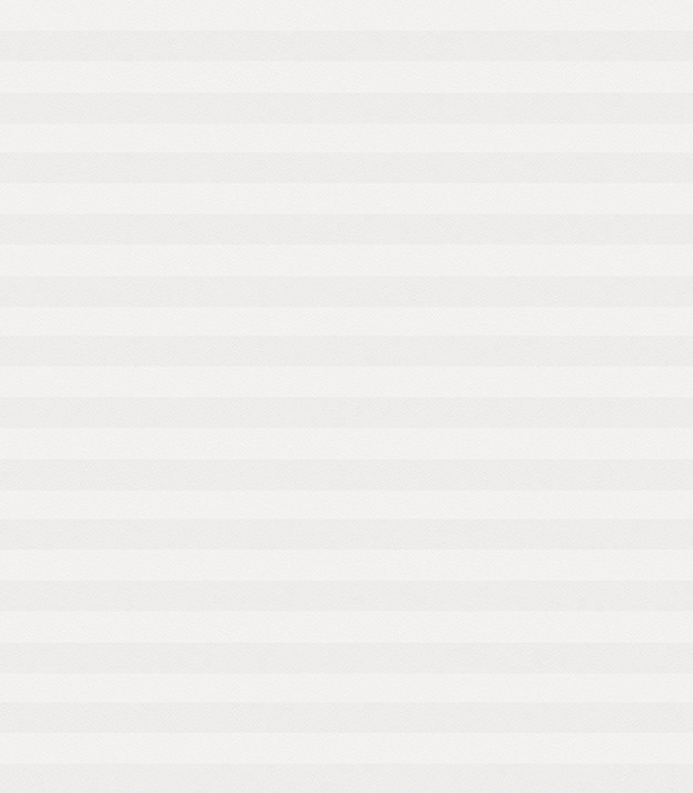 Detailansicht Plissee Color Krepp Reflex 739vs