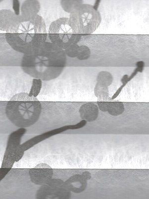 Preview Plissee Maiko 265vs 5