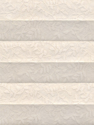 Preview Backyard 182vs 6